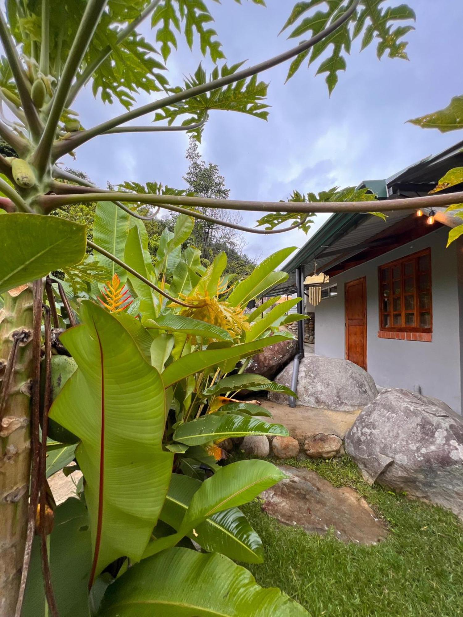 RivasJardines Secretos公寓式酒店 外观 照片